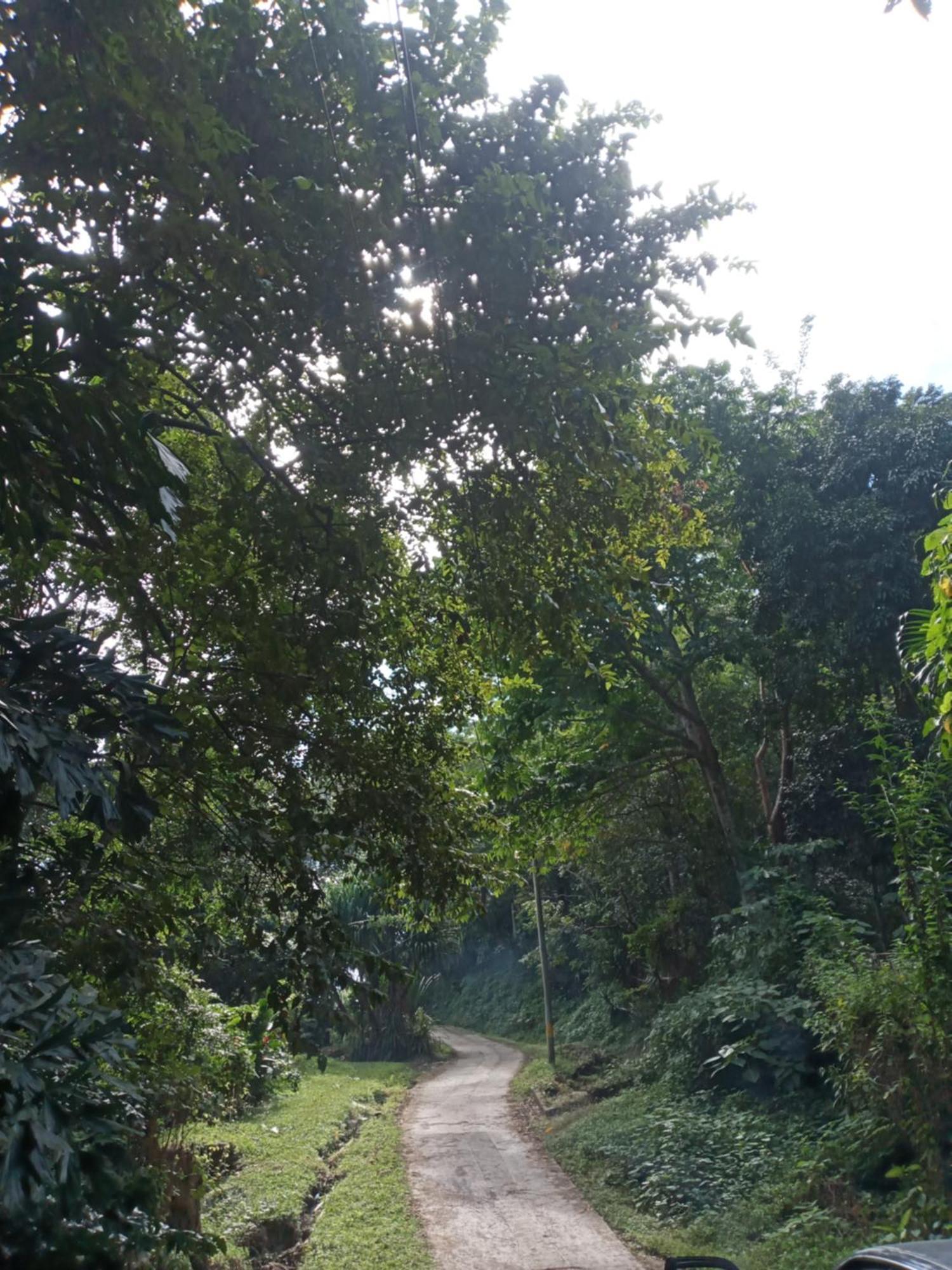 Hostal Juan Lindo San Pedro Sula Kültér fotó
